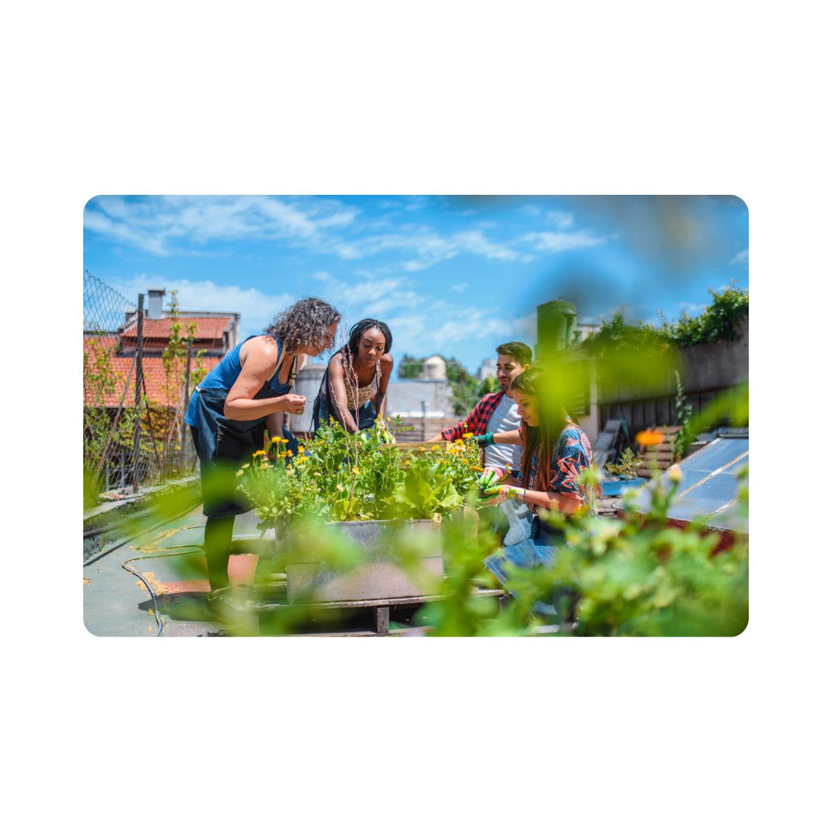 People working together on a community project